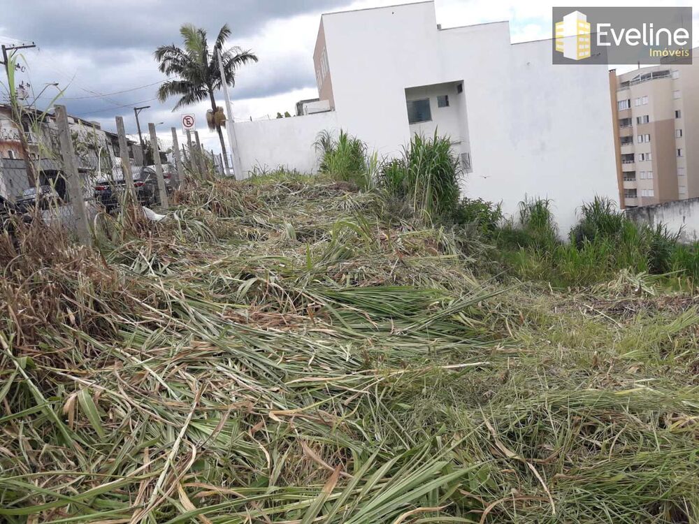 Terreno, 286 m² - Foto 2