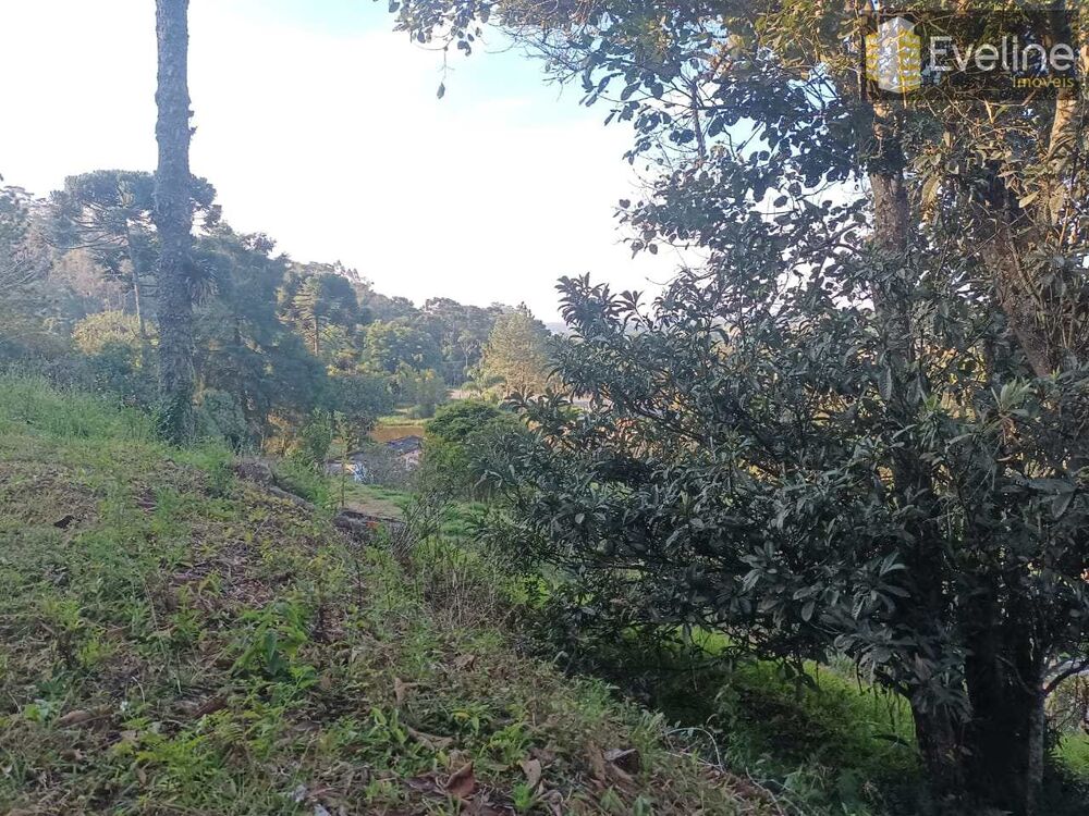 Terreno à venda, 693m² - Foto 3