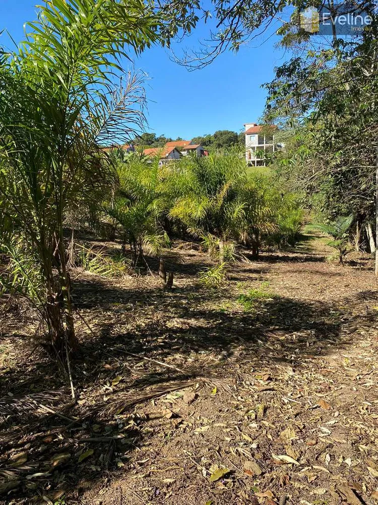 Terreno, 2674 m² - Foto 5