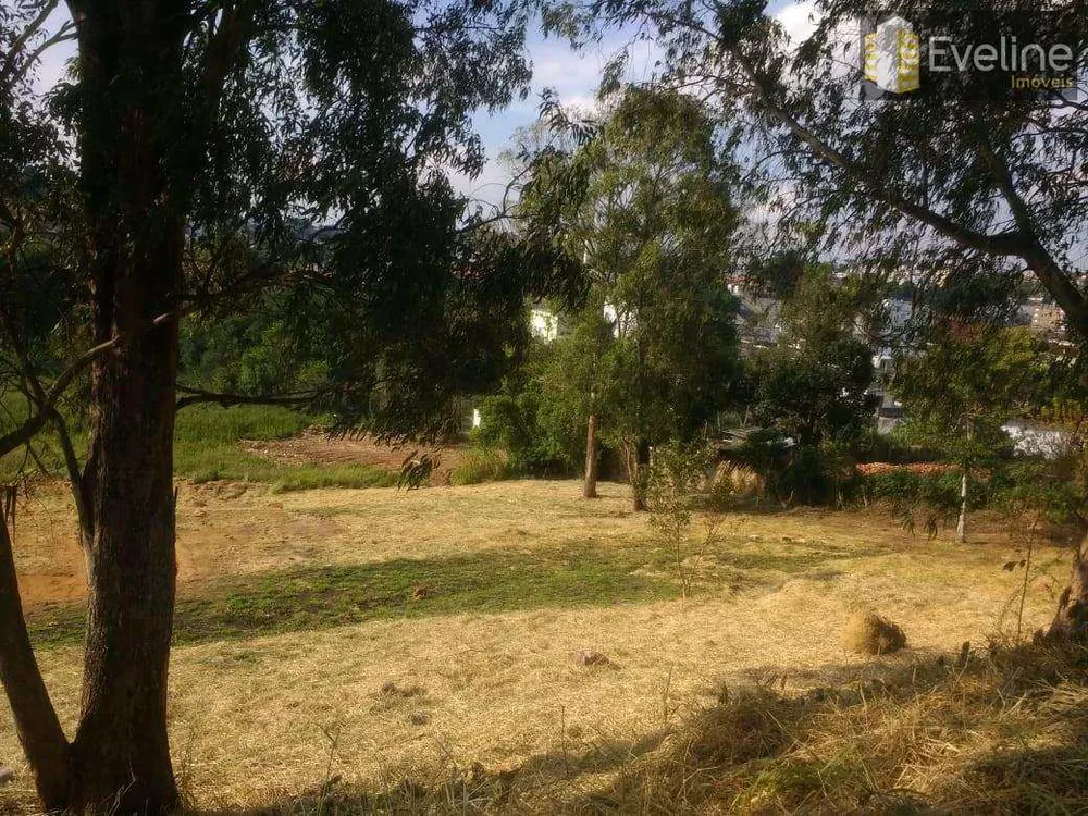 Loteamento e Condomínio, 1450 hectares - Foto 6