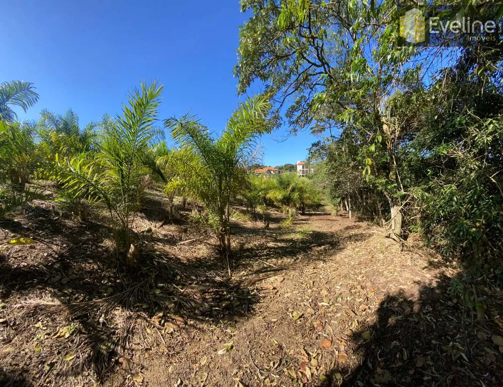 Terreno, 1533 m² - Foto 6