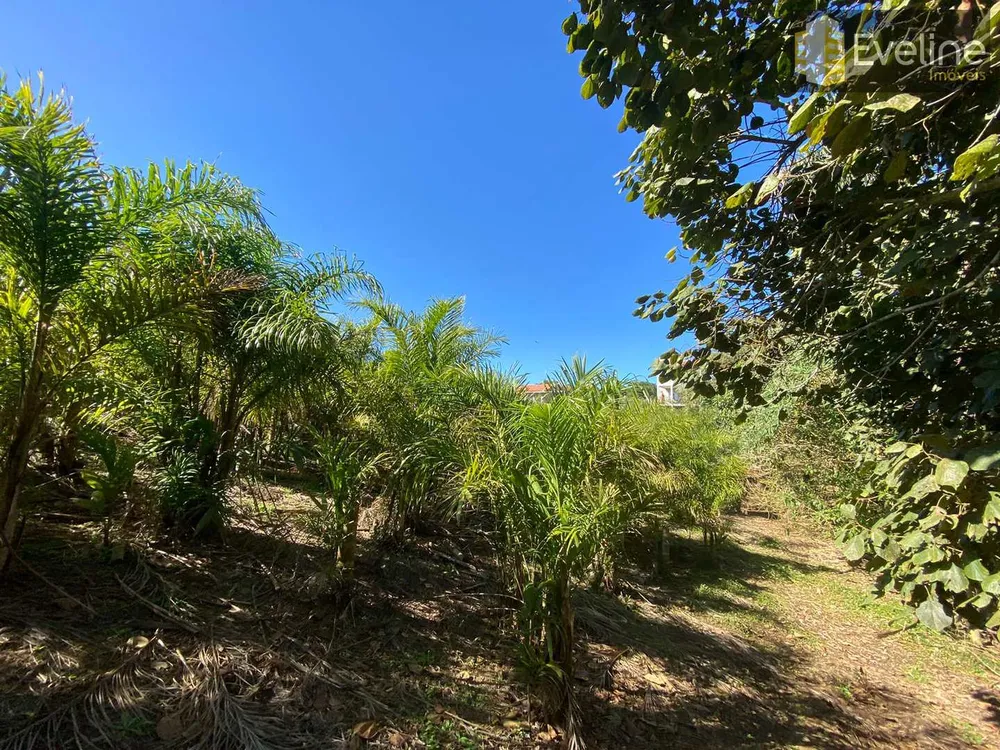 Terreno, 1533 m² - Foto 5