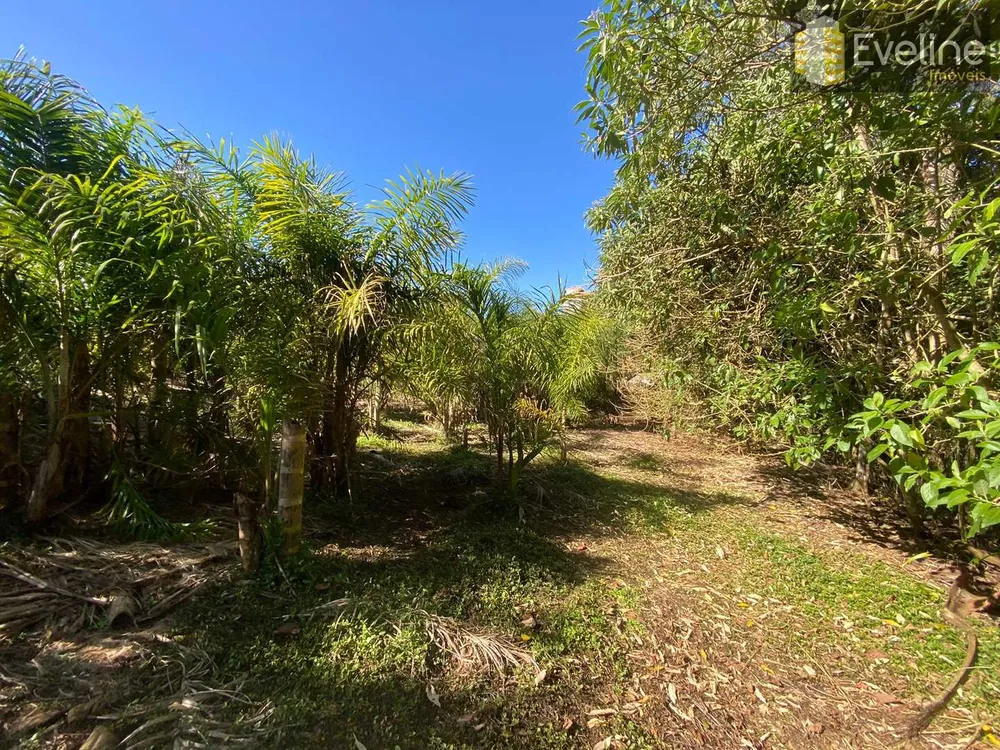 Terreno, 1533 m² - Foto 4