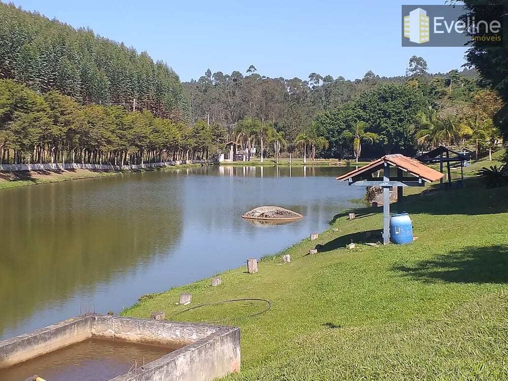 Chácara, 4 quartos, 3 hectares - Foto 4