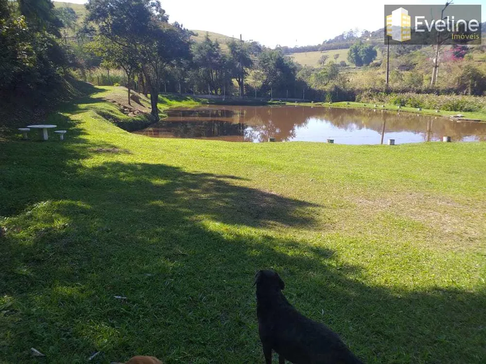 Chácara, 4 quartos, 3 hectares - Foto 10