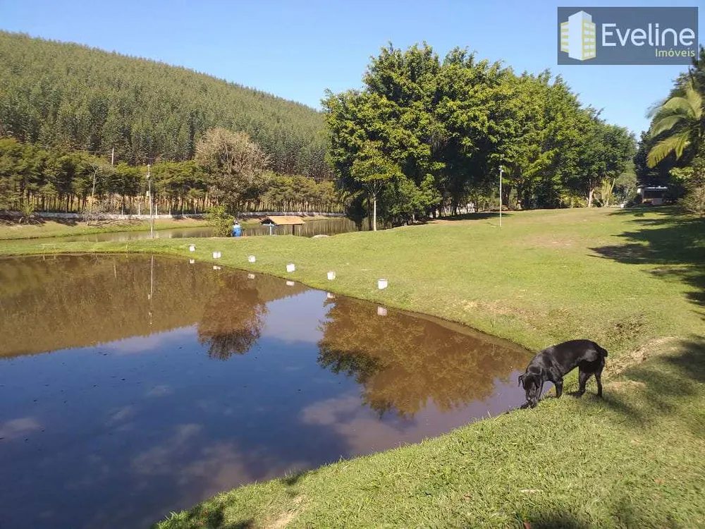 Chácara, 4 quartos, 3 hectares - Foto 6