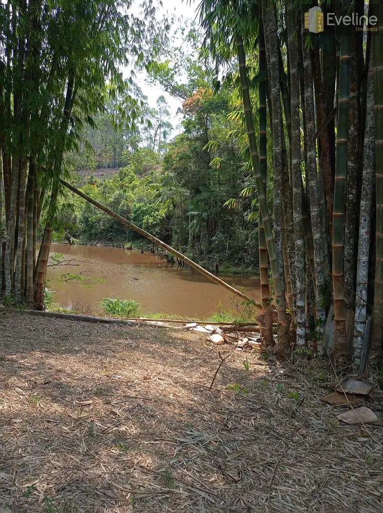 Chácara, 6 quartos, 2 hectares - Foto 12