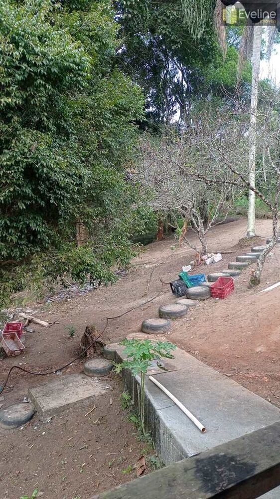 Chácara à venda com 2 quartos, 1300m² - Foto 3