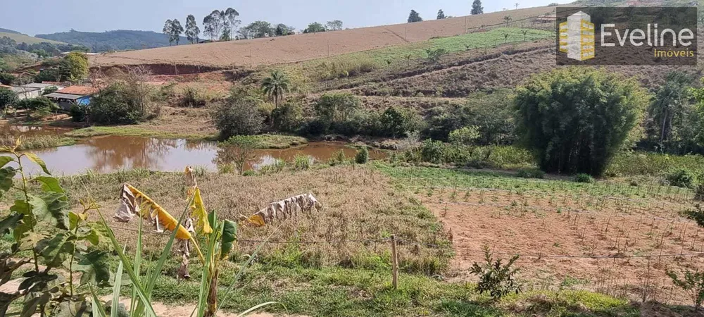 Chácara, 3 quartos, 2 hectares - Foto 8