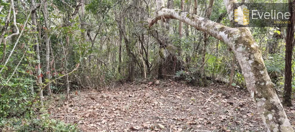 Chácara, 3 quartos, 2 hectares - Foto 12