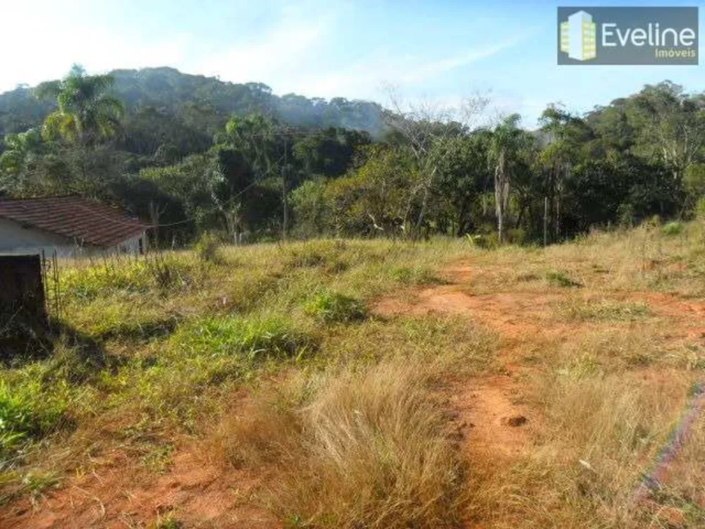 Terreno, 10 hectares - Foto 3