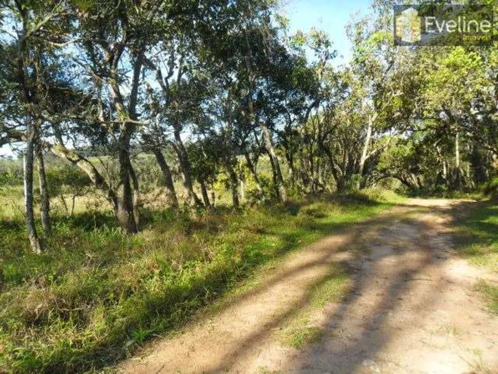 Terreno, 10 hectares - Foto 7