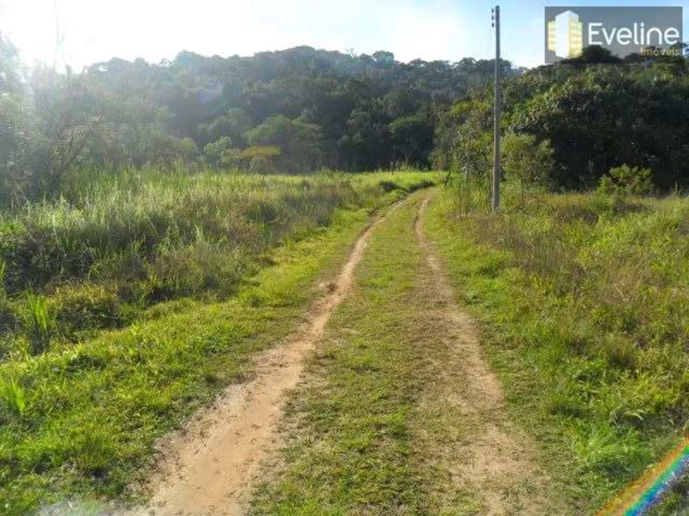Terreno, 10 hectares - Foto 11