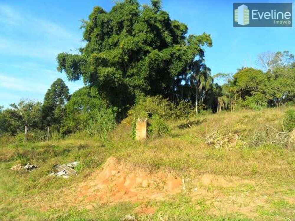 Terreno, 10 hectares - Foto 2