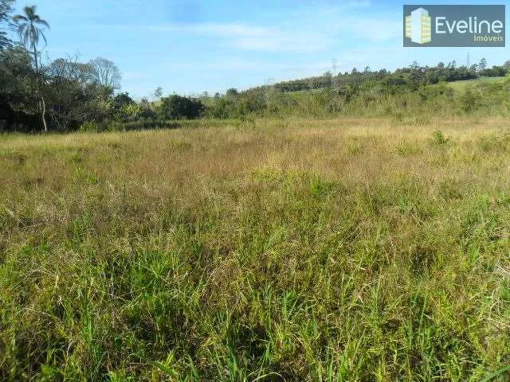 Terreno, 10 hectares - Foto 4