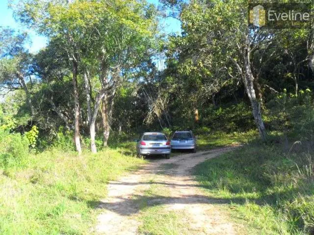 Terreno, 10 hectares - Foto 12