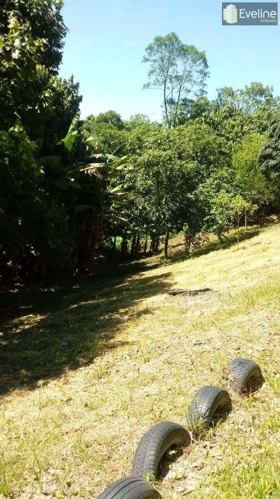 Chácara, 4 quartos, 1000 m² - Foto 4