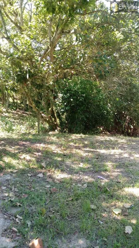 Chácara, 4 quartos, 1000 m² - Foto 12
