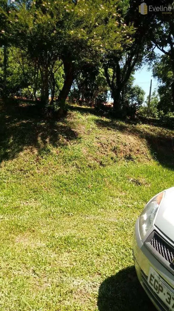 Chácara, 4 quartos, 1000 m² - Foto 7