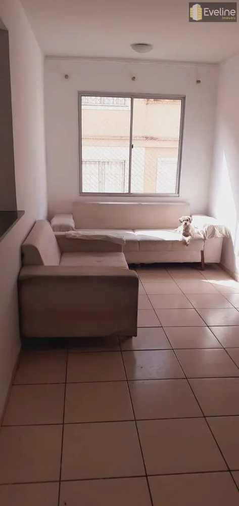 Apartamento, 3 quartos - Foto 1