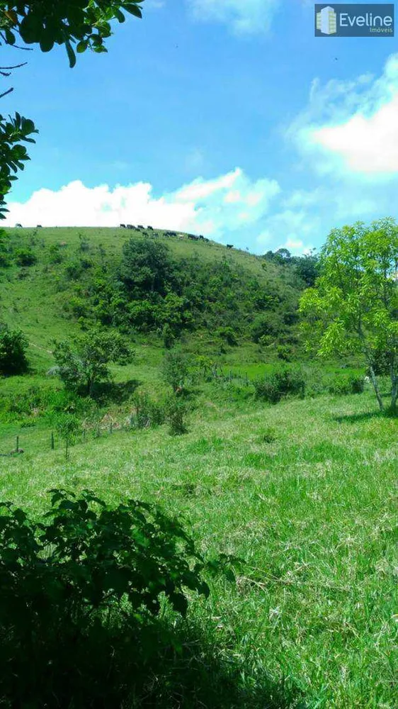 Fazenda, 35 m² - Foto 8