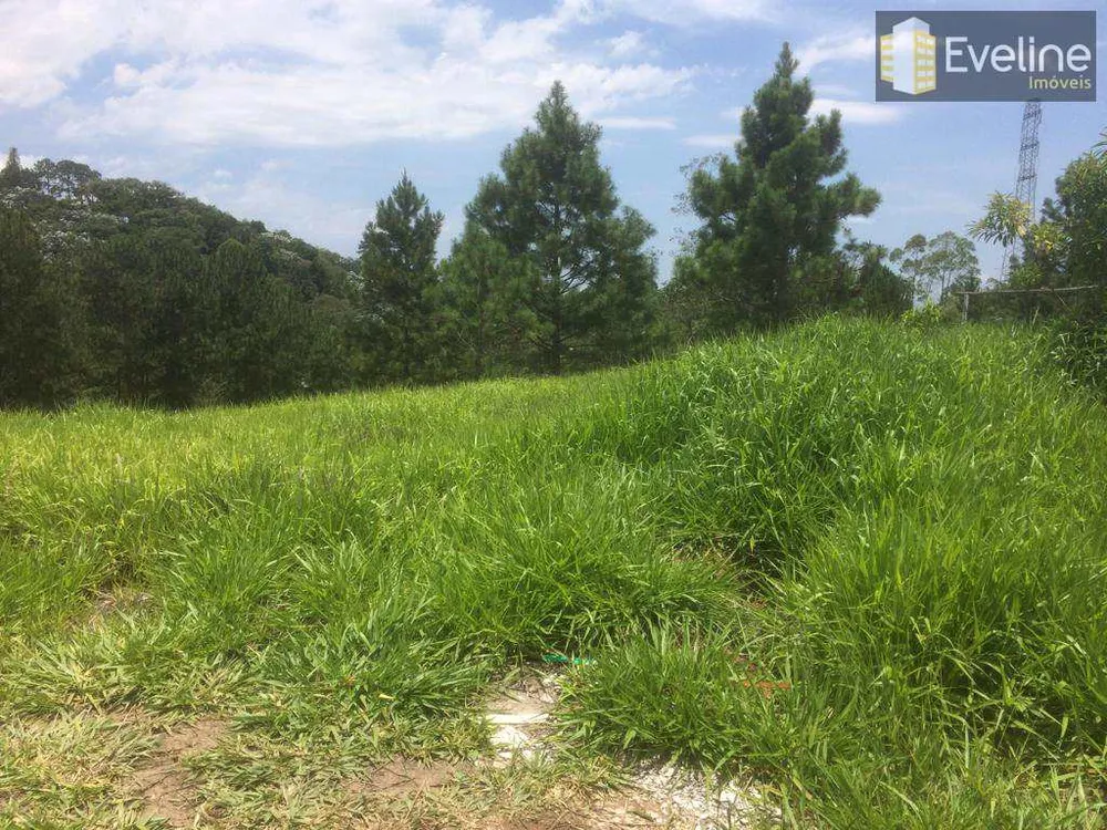 Terreno, 1137 m² - Foto 3