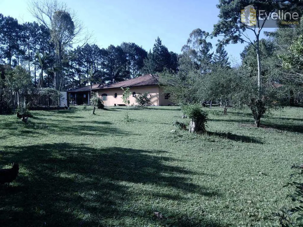Chácara, 4 quartos, 3 hectares - Foto 11