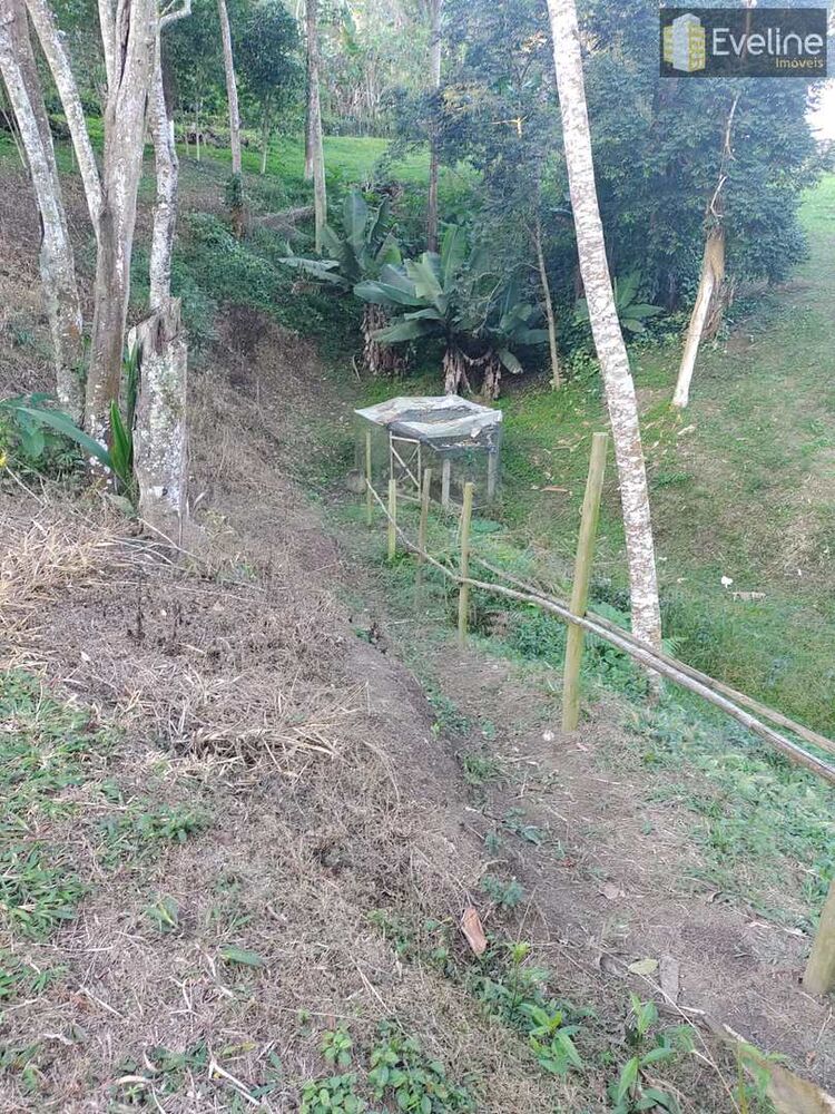 Chácara, 5 quartos, 10000 m² - Foto 2