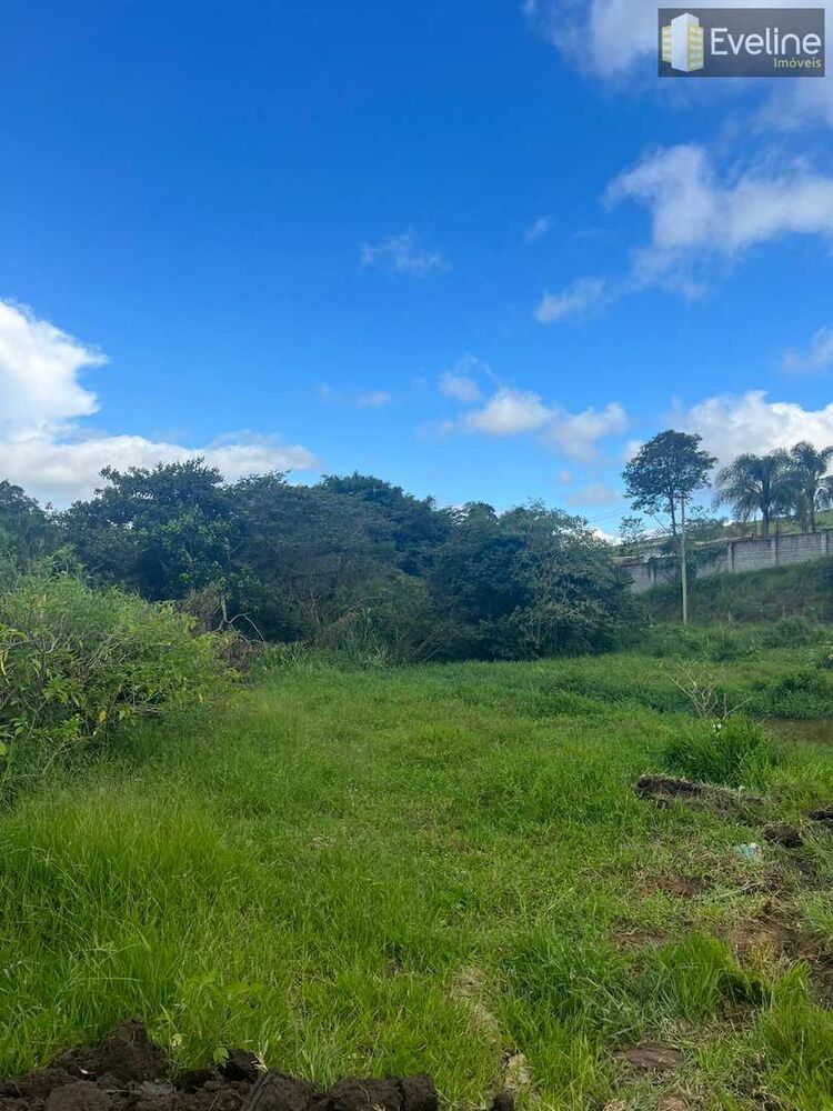 Chácara à venda com 3 quartos, 180m² - Foto 4