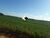 Fazenda, 348 hectares - Foto 1
