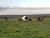 Fazenda, 987 hectares - Foto 1