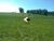Fazenda, 262 hectares - Foto 1