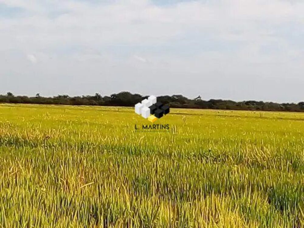 Fazenda à venda, 9800000m² - Foto 1
