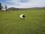 Fazenda, 1765 hectares - Foto 1
