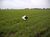 Fazenda, 480 hectares - Foto 1