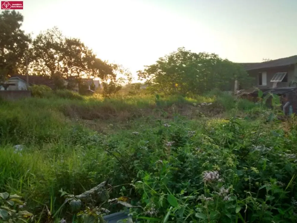 Terreno, 6000 m² - Foto 2