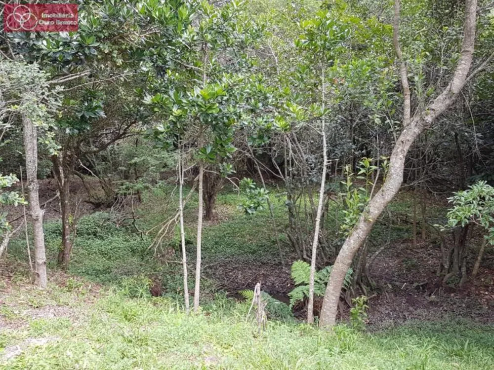 Terreno, 8 hectares - Foto 4