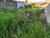 Terreno, 420 m² - Foto 1