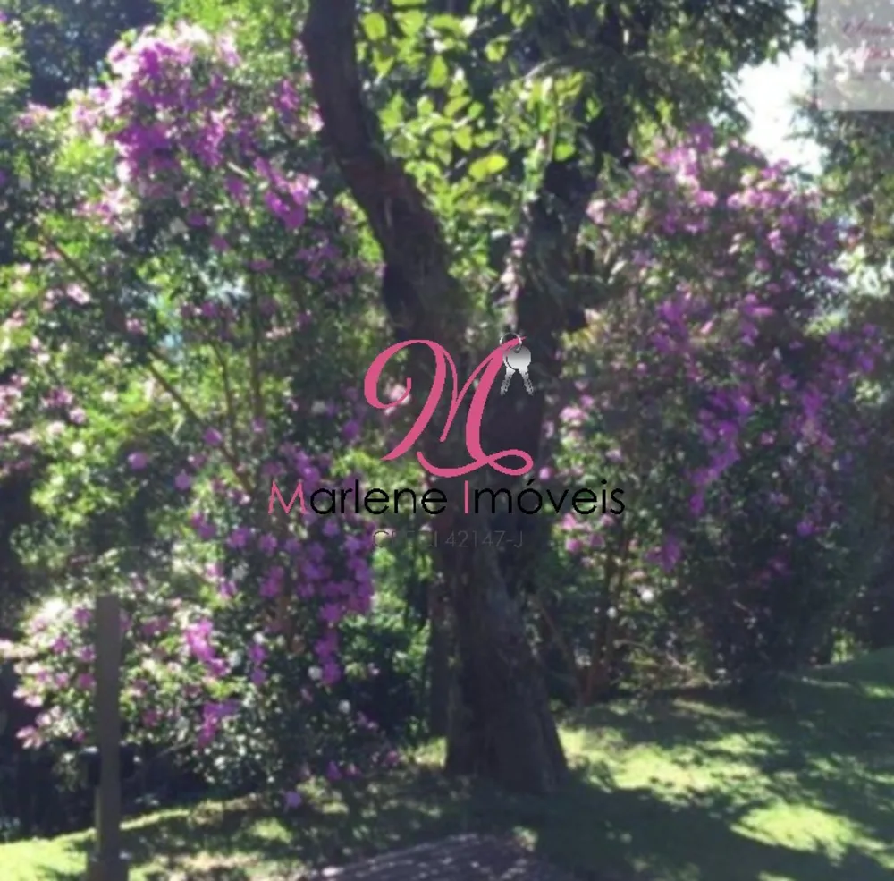 Chácara, 5 quartos - Foto 11