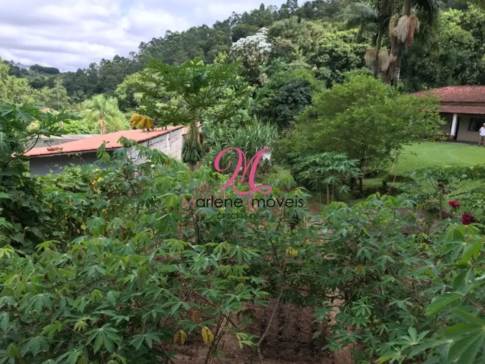 Chácara, 3 quartos - Foto 6