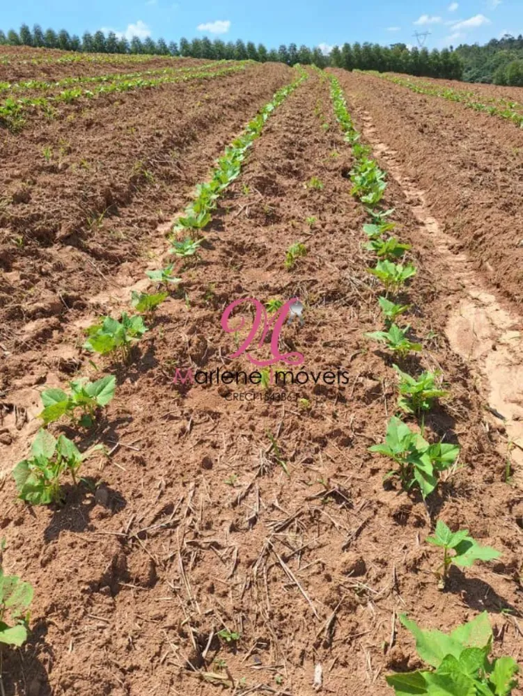 Terreno, 2 hectares - Foto 3