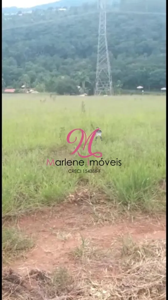 Terreno, 2 hectares - Foto 4