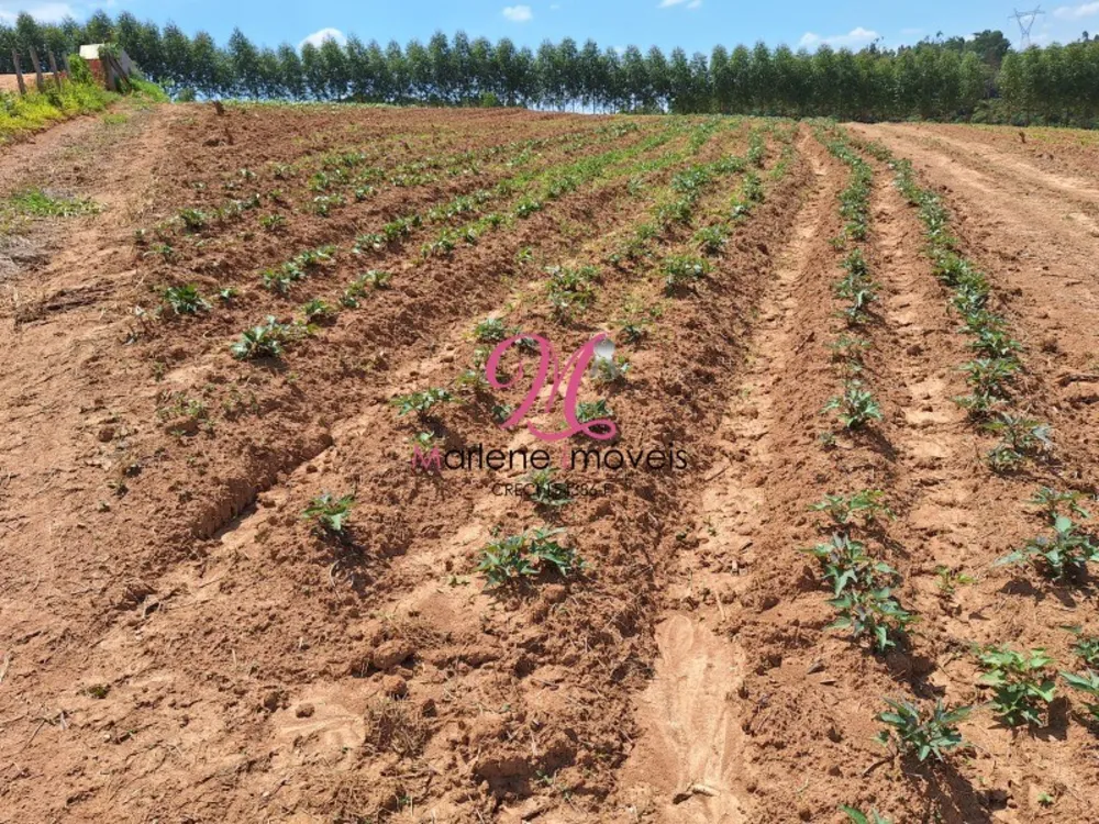 Terreno, 2 hectares - Foto 1