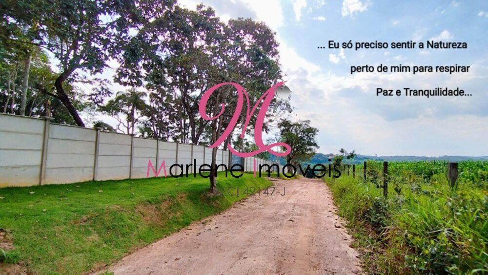 Terreno, 3503 m² - Foto 5