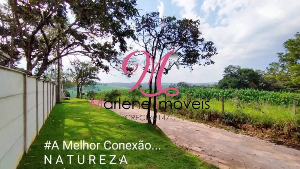 Terreno, 3503 m² - Foto 6