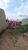 Terreno, 250 m² - Foto 4