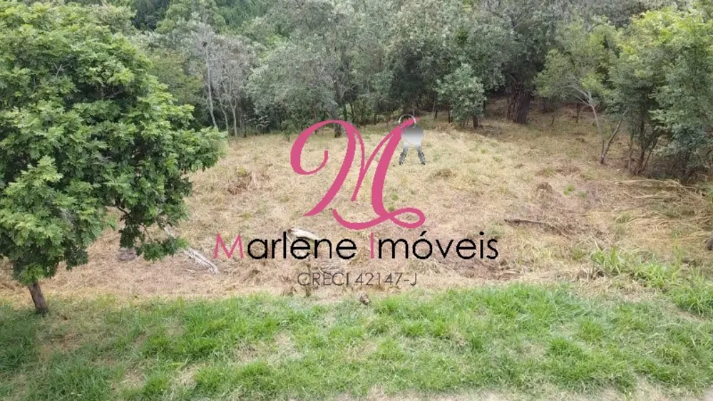 Terreno - Foto 2