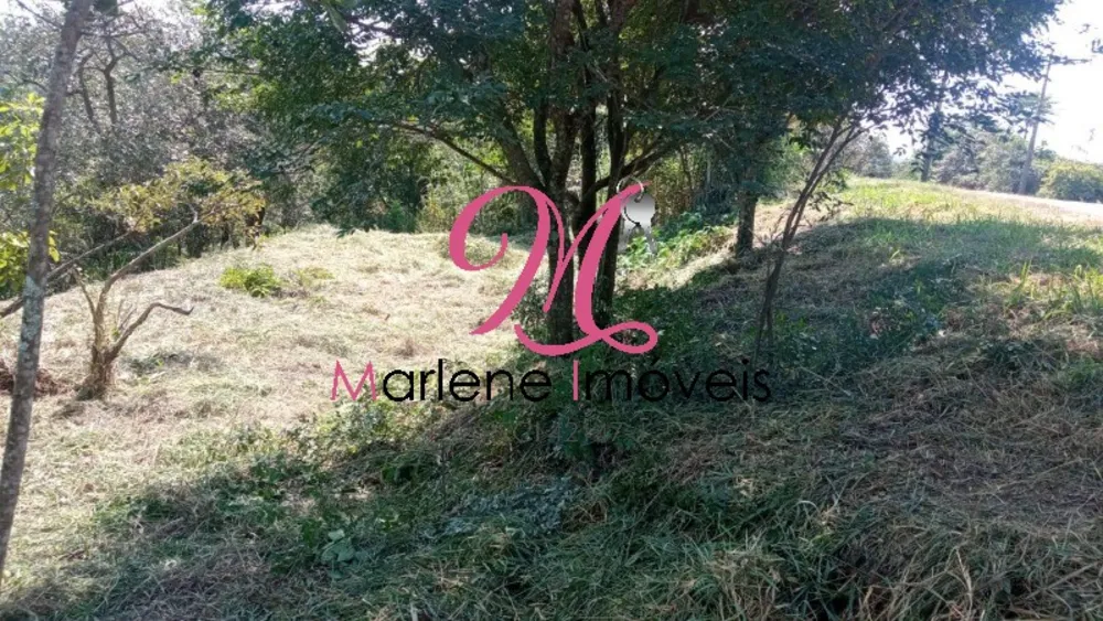 Terreno - Foto 8