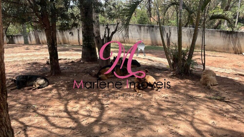 Chácara, 3 quartos - Foto 3