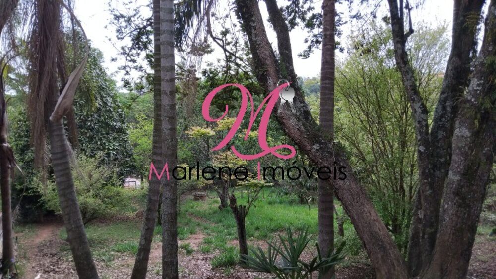 Chácara, 3 quartos - Foto 4